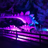 Dino's In The Dark