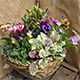 Winter Hanging Basket
