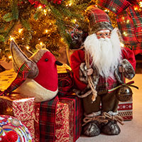Get the Christmas Look Event - November 29th & 30th