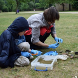 Young Archaeologists' Club - artefact identification