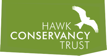 hawk-conservancy.digitickets.co.uk