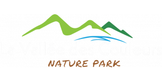 LVDC DEMO Logo