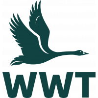 WWT Logo