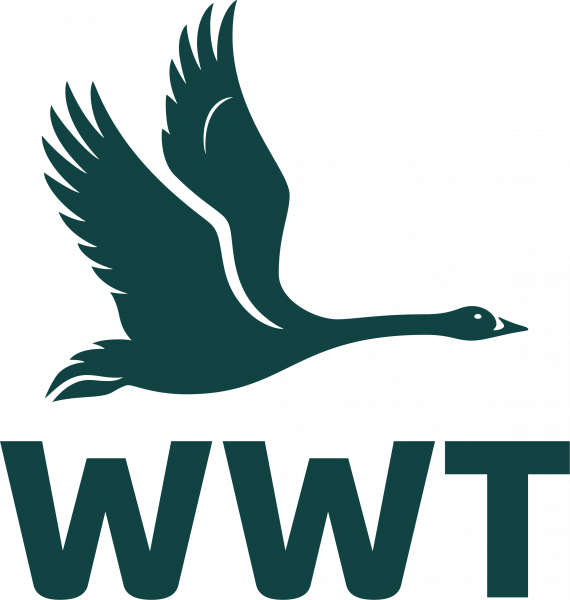 WWT Tickets - Buy Online