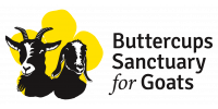 Buttercups Goat Sanctuary Logo