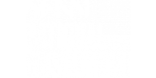 National Museums NI Logo