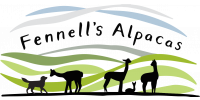 Fennells Alpacas Logo