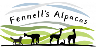 Fennells Alpacas Logo