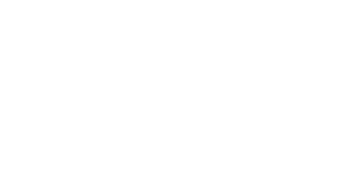 Wonderlights Logo