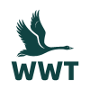 WWT Logo