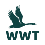 WWT Logo