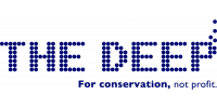 The Deep Logo