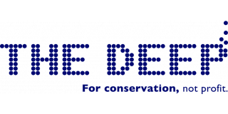 The Deep Logo