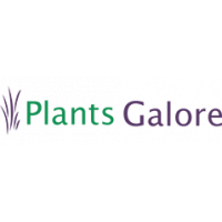 Plants Galore Logo