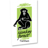 Monkey Forest Logo