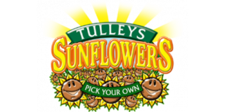 Tulleys PYO Sunflowers Logo