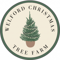 Welford Christmas Tree Farm Tickets, Products - Buy Online
