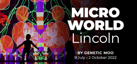 Microworld: Lincoln