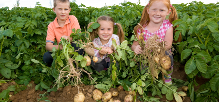 Willows Activity Farm & Potato Shindig Weekdays (7th September - 2nd October)