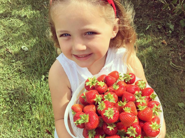 PYO Strawberries