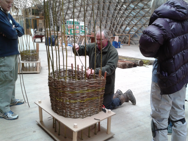 Make a living willow chair