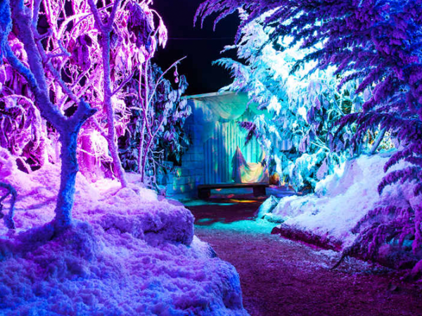 Enchanted Narnia