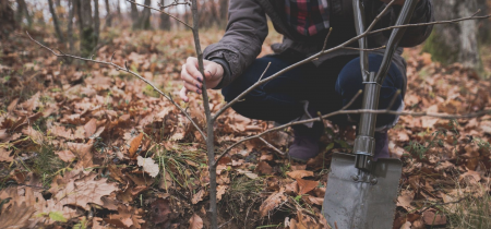 Tree Planting at Shenley Wood