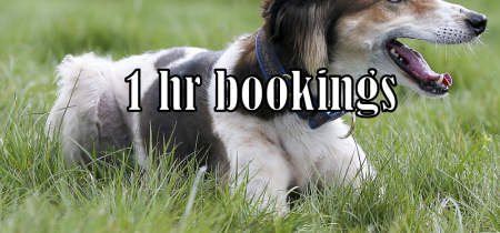 Apley Dog Park - 1hr bookings