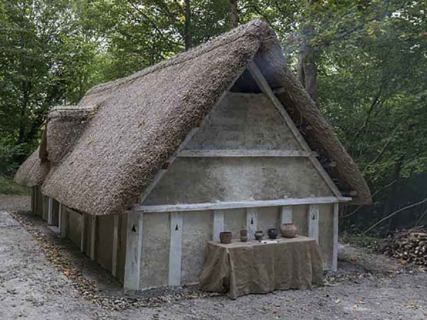 Anglo-Saxon herbs