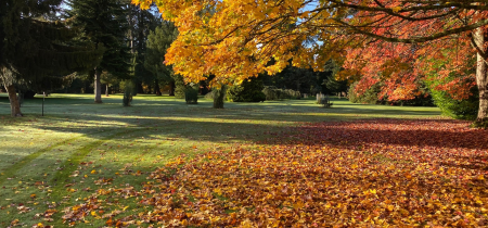 Clive Nichols Autumn Photography Course