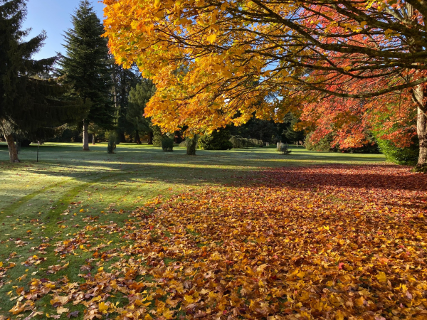 Clive Nichols Autumn Photography Course