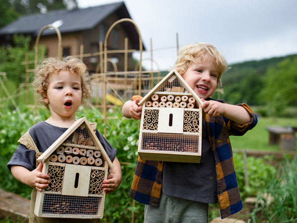 Decorate a Bug Hotel at Willington