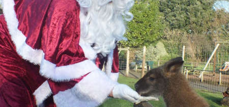 Santa Visits at Battersea Park Children’s Zoo