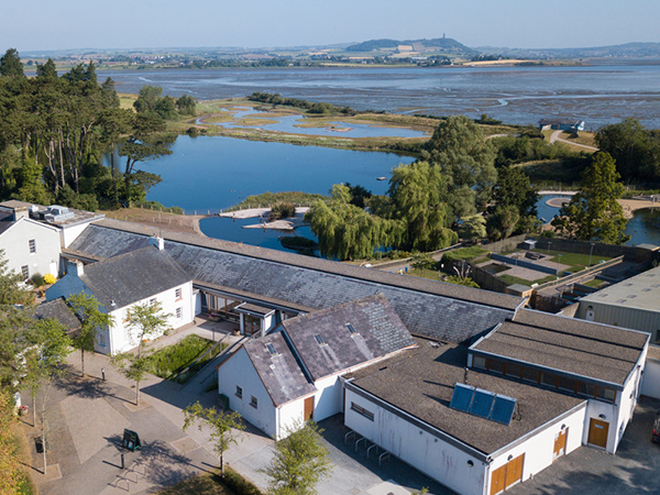 WWT Castle Espie Admission