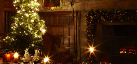 Christmas Through the Ages- Guided House Tour