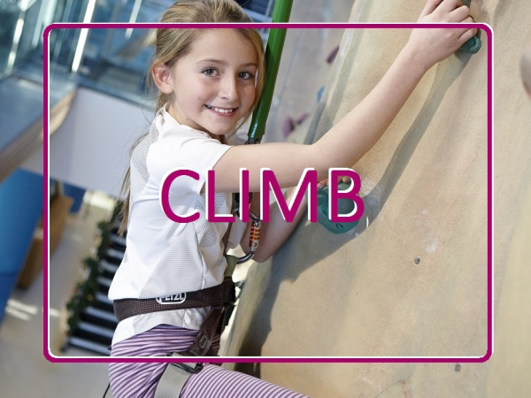 Climbing Wall