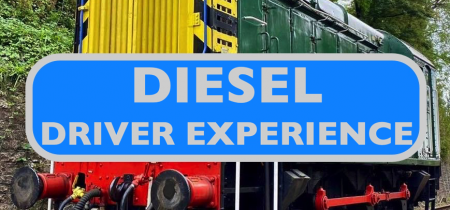 Diesel Driver Taster Experience