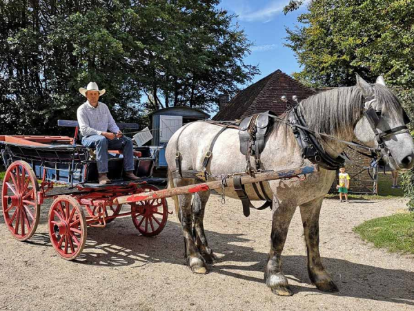 How to drive heavy horses