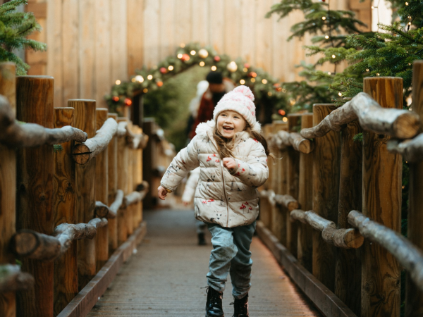 The Plotters’ Forest Enchanted Christmas Trail - Day Tickets