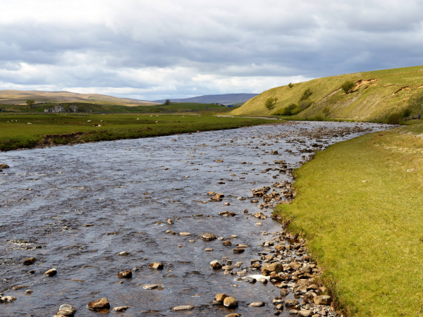 River Tees Fishing Permit - Trout and Grayling