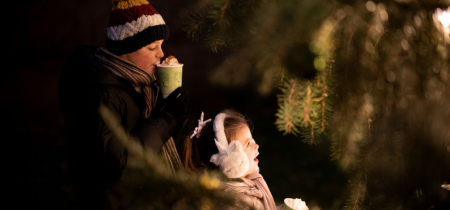 The Plotters’ Forest Enchanted Christmas Trail - Night-time