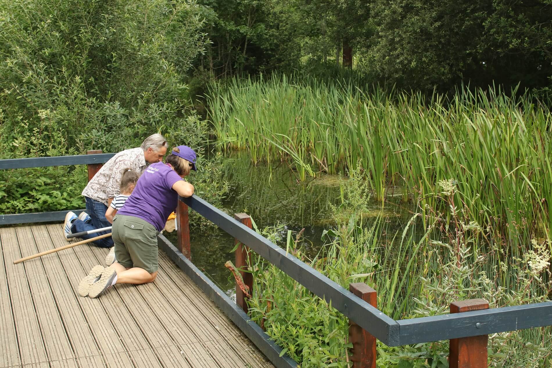 Family Pond Dipping at Howe Park Wood