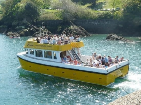 Bird Watching Cruise