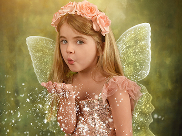 Create a Mini Fairy Garden at Willington
