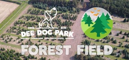 Dee Dog Park- FOREST FIELD
