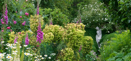 Planting a classic cottage garden | Monday 12th July 2021