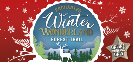 Gouldings Enchanted Winter Wonderland Forest Trail
