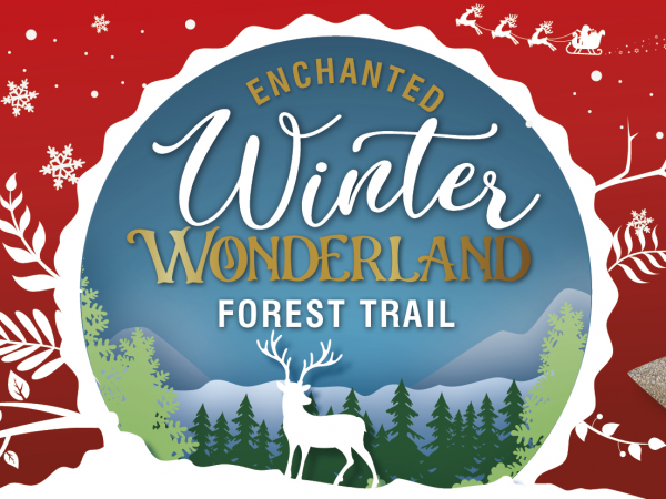 Gouldings Enchanted Winter Wonderland Forest Trail