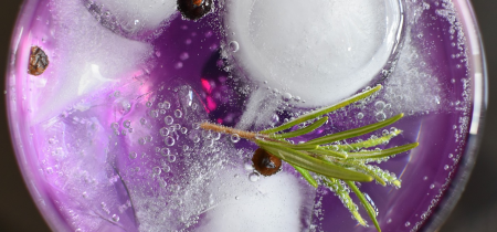 The Festive Gin Train
