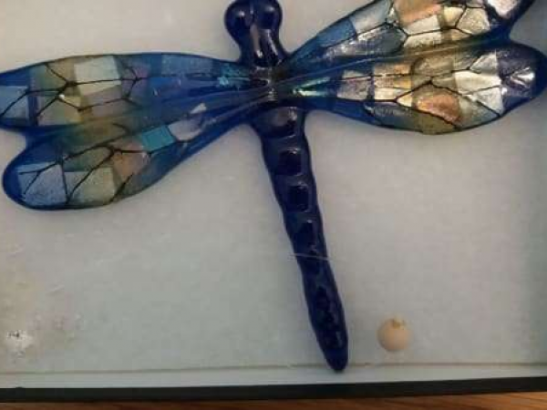 Dragonfly Fused Glass Workshop for Adults
